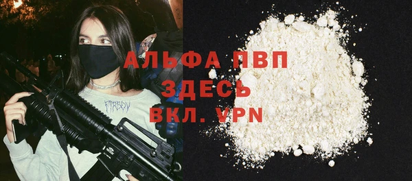 МДПВ Бородино